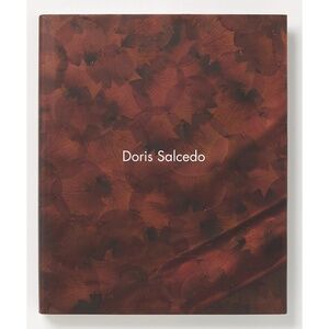 DORIS SALCEDO - Julie Rodrigues Widholm & Madeleine Grynsztejn - Chicago, 2015